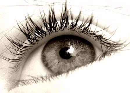 眼睛老覺得扎,原來是它在作怪