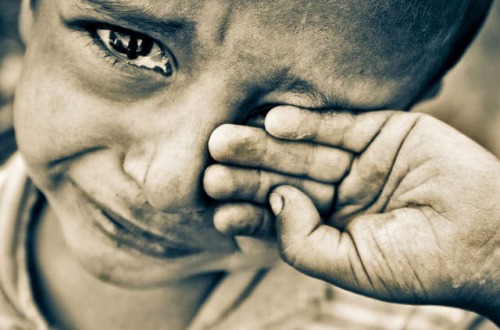 眼睛里鉆了飛蟲、塵埃怎樣處理會舒服？