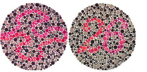 眼睛有色盲癥會是什么感覺？