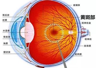 【科普】老年性黃斑變性可以治好嗎？
